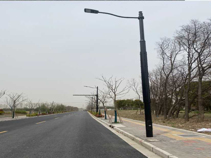 台南市上海综合杆 太阳能路灯工程